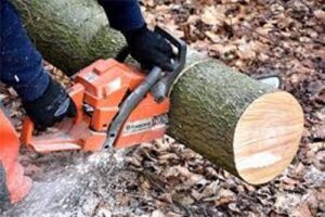 Domestic Chainsaw Maintenance & Cross Cutting training Course Scotland